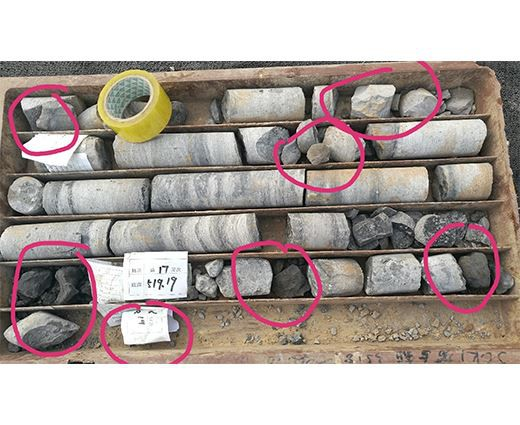 कोयला खनन उप -क्षेत्र का व्यापक गोफ उपचार